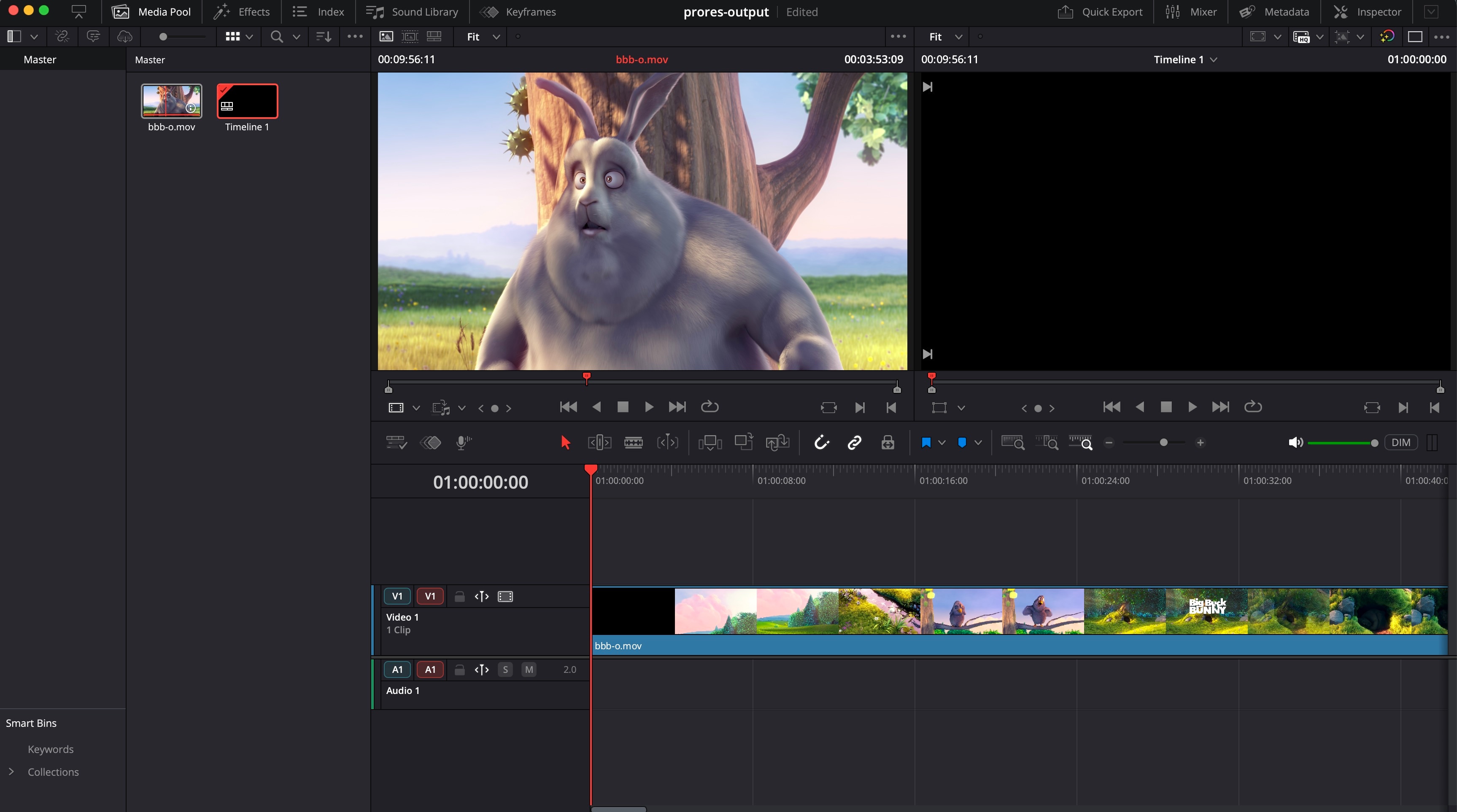 Convert RAW video to Mezzanine/Compressed Formats