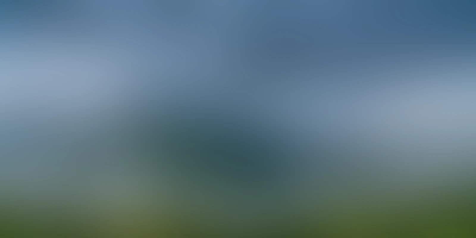 Blur-100