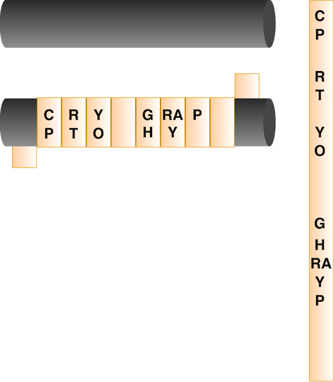 Cryptography