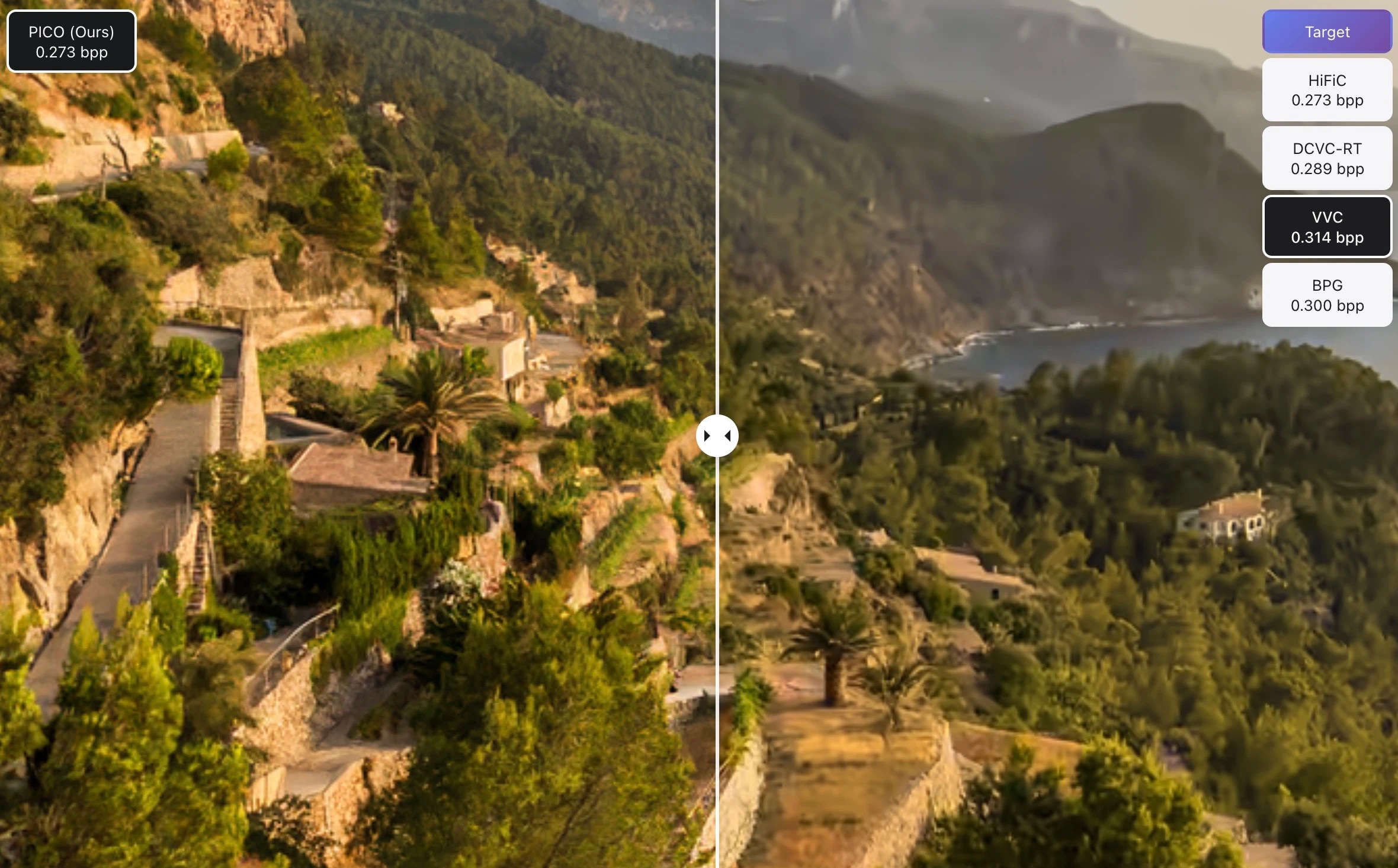 Apple Introduces PICO: AI Image Codec