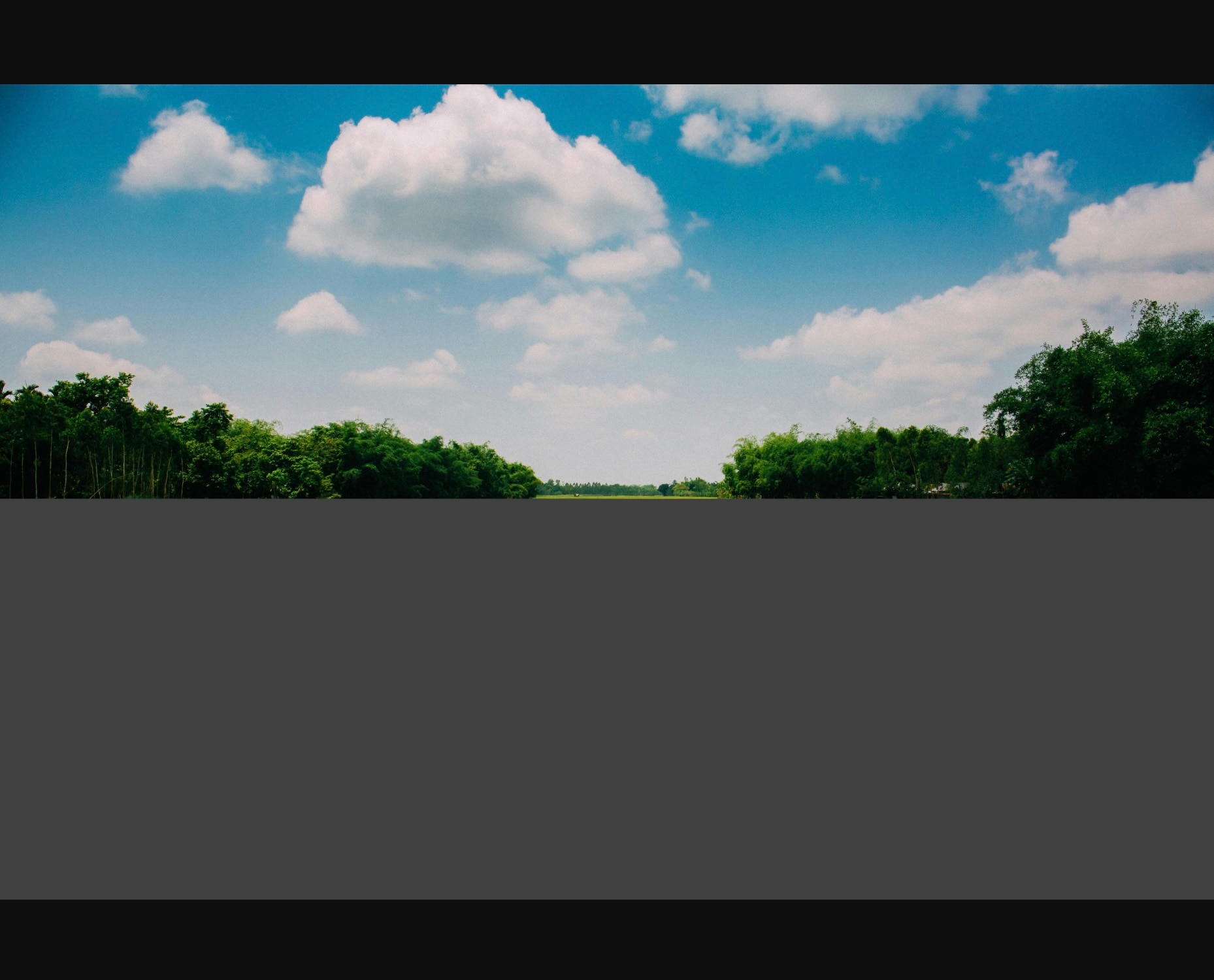 Baseline vs Progressive JPEG