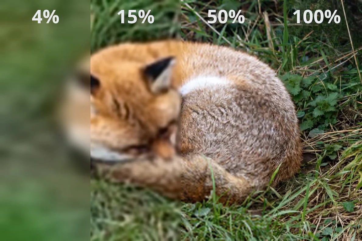 Firefox-JXL